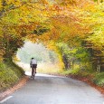 Next ride 8 September to Box Hill Meet 10am east Croydon – corner of Dingwall rd and George st Steady pace and lunch stop Back about 3pm latest
